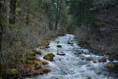 DSC_5961 (Large).JPG